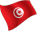 Tunisia Laws